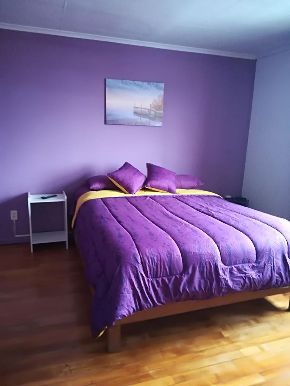 Puq Casa Amigos Appartement Punta Arenas Buitenkant foto